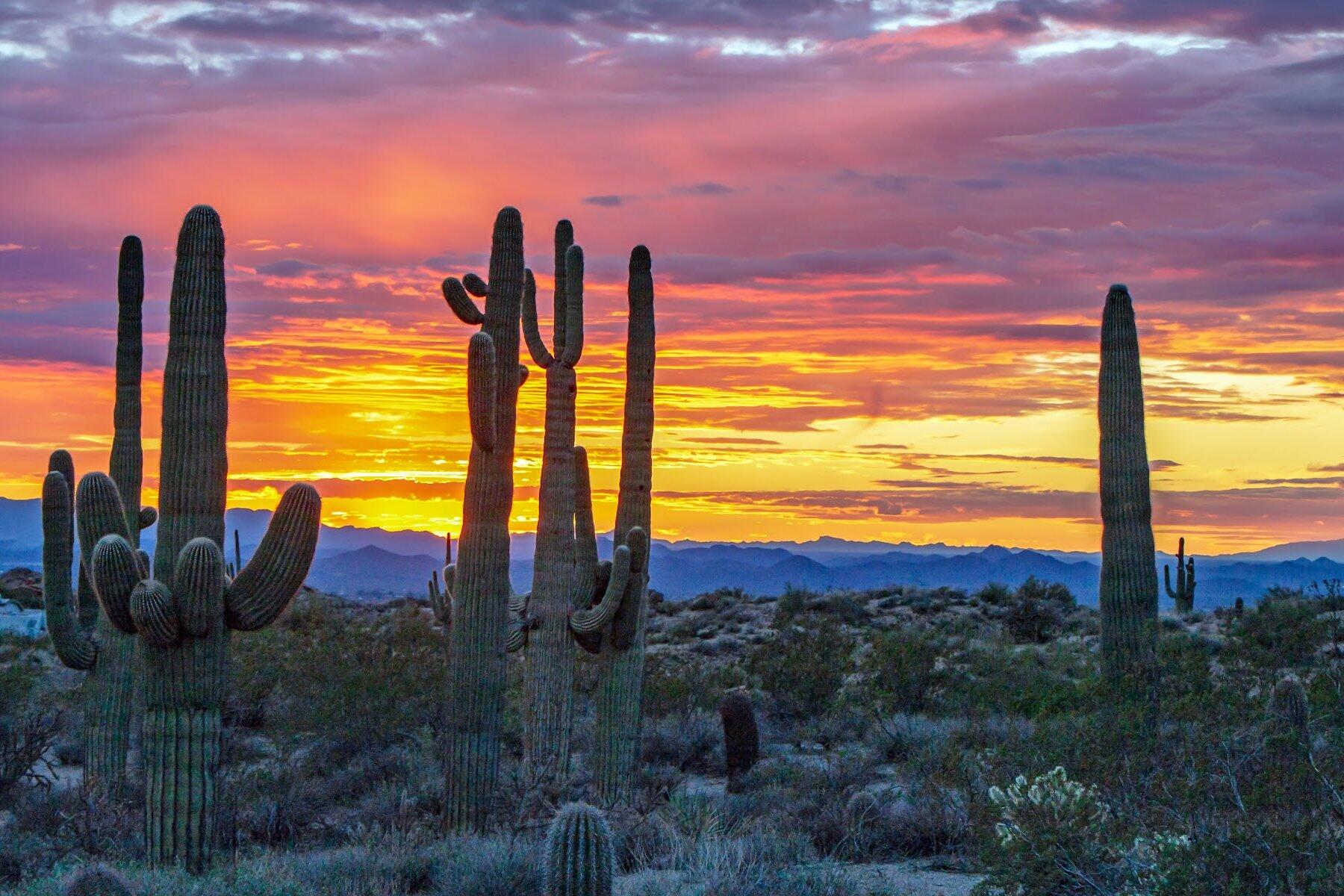 Arizona