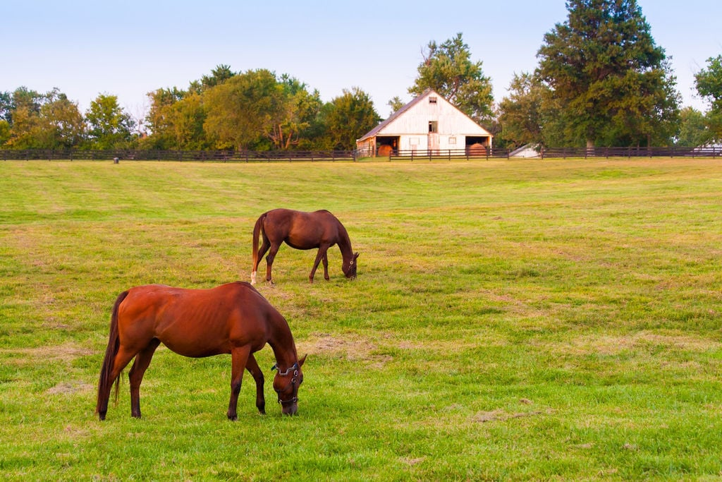 Kentucky